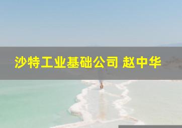 沙特工业基础公司 赵中华